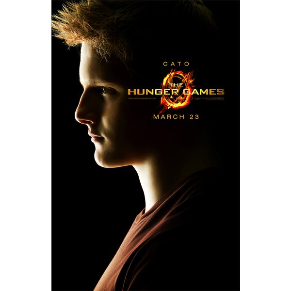 Affiche Hunger Games : 