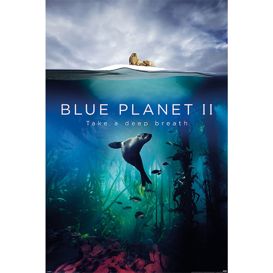 blue planet 2