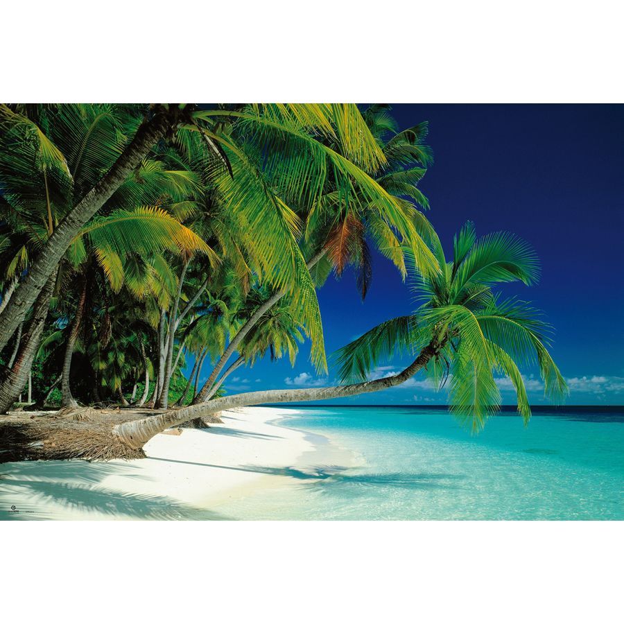  Poster Plage  de r ve Tropical Paradise Maldives 